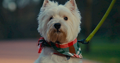 Ролики тижня: Maudau, Vovk, Optimeal, Азов.one, Епіцентр