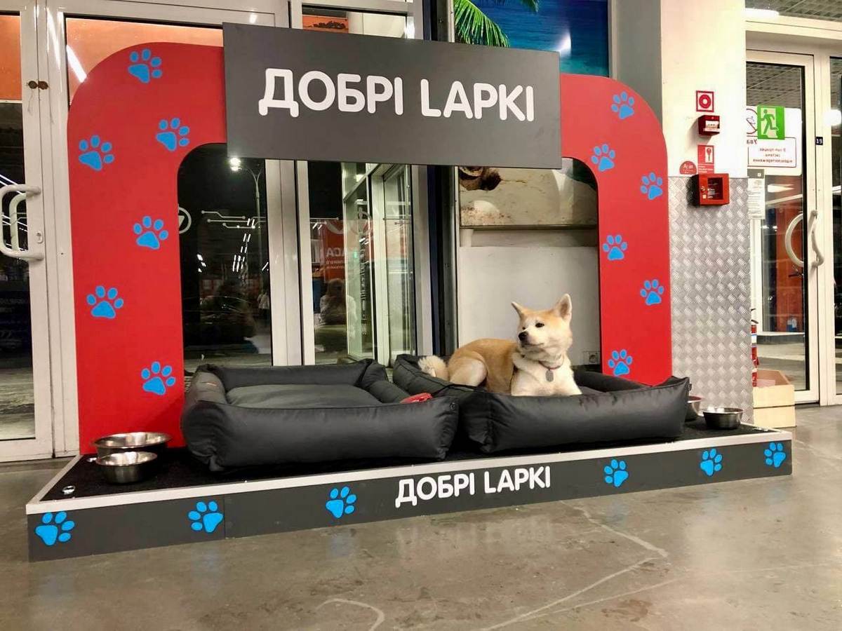 Епіцентр обладнав постійні зони для відпочинку тварин