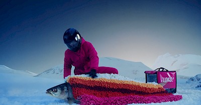 Ролики тижня: lifecel, Novus, Аврора, Loko, Будинок іграшок