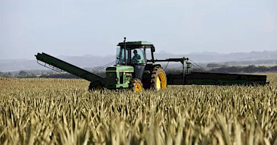 Аграрний маркетплейс VAS: додаткові можливості для аграріїв в Україні