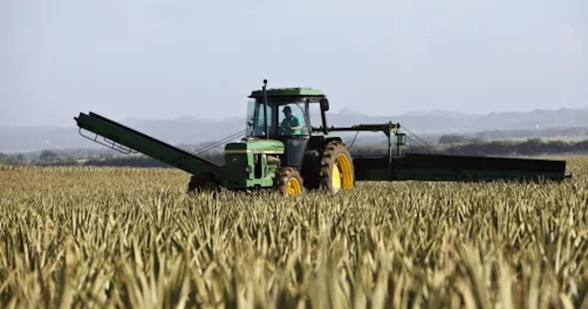 Аграрний маркетплейс VAS: додаткові можливості для аграріїв в Україні