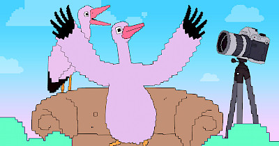 Maudau відзначає день народження разом із лелеками Пирятинського парку