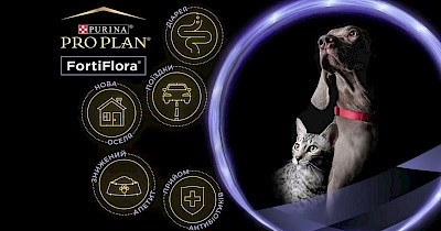 Фортіфлора для собак: підтримка здоров’я шлунка та імунітету