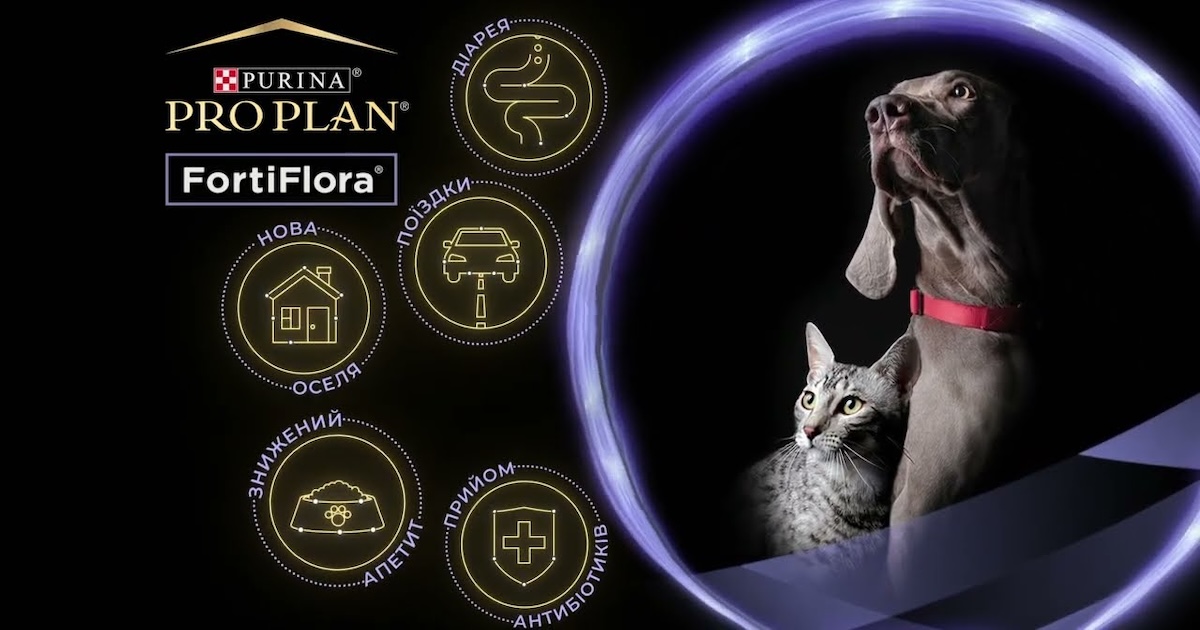 Фортіфлора для собак: підтримка здоров’я шлунка та імунітету