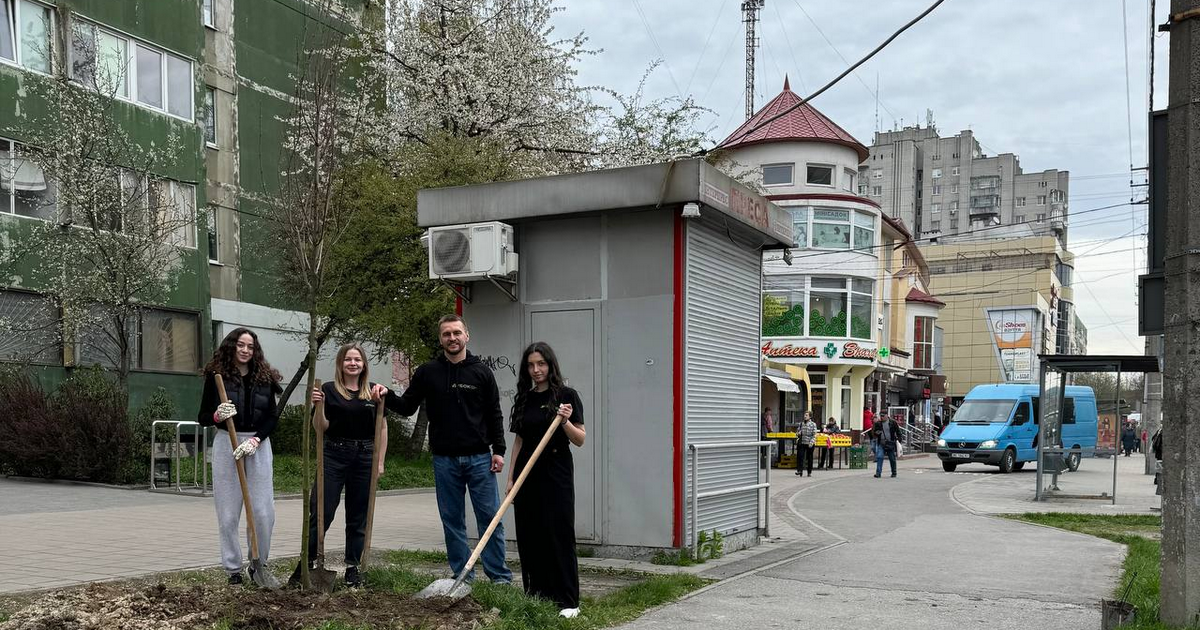 Мережа меблевих магазинів Дубок подарувала Львову дерева: компанія висадила магнолії та клен на Сихові