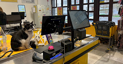 Касса 2в1: инновационные решения компании TA-DA! в оптимизации обслуживания клиентов