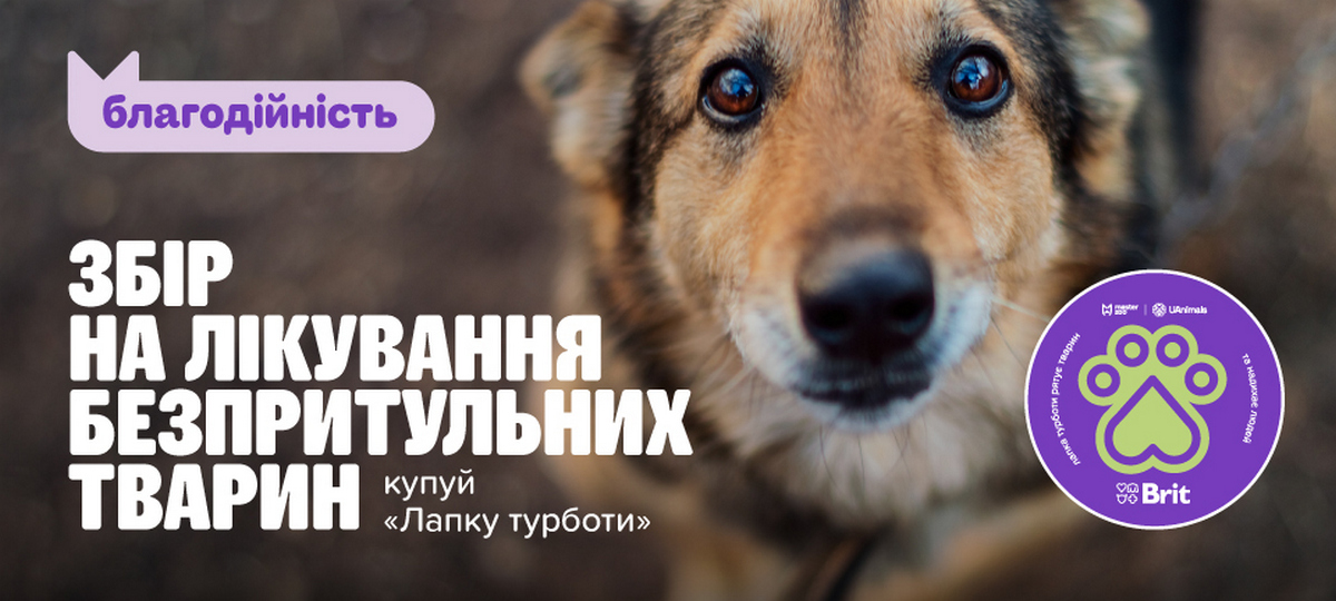 MasterZoo та UAnimals закликають простягнути «лапку» допомоги покинутим тваринам у прифронтових містах