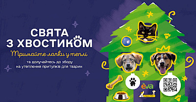 Новий рік у теплі: EVA та Happy Paw запустили проект допомоги  тваринам у притулках