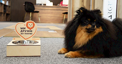 Лео Кераміка – простір, дружній до тварин