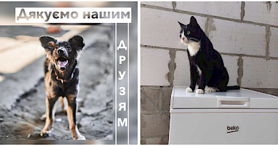 Ф-підтримка від Фокстрот: як працює програма з допомоги врятованим тваринам