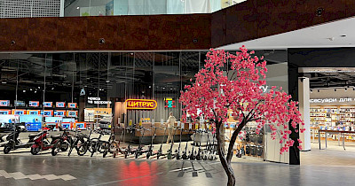 Цитрус открыл в киевском ТРЦ Retroville 67-й магазин сети (+фото)