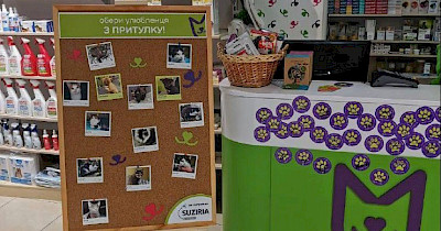 У магазинах MasterZoo тепер можна “усиновити” чотирилапого друга