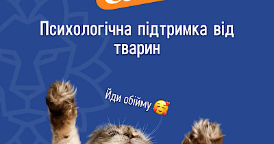 Мережа Сільпо запустила сервіс психологічної підтримки від тварин