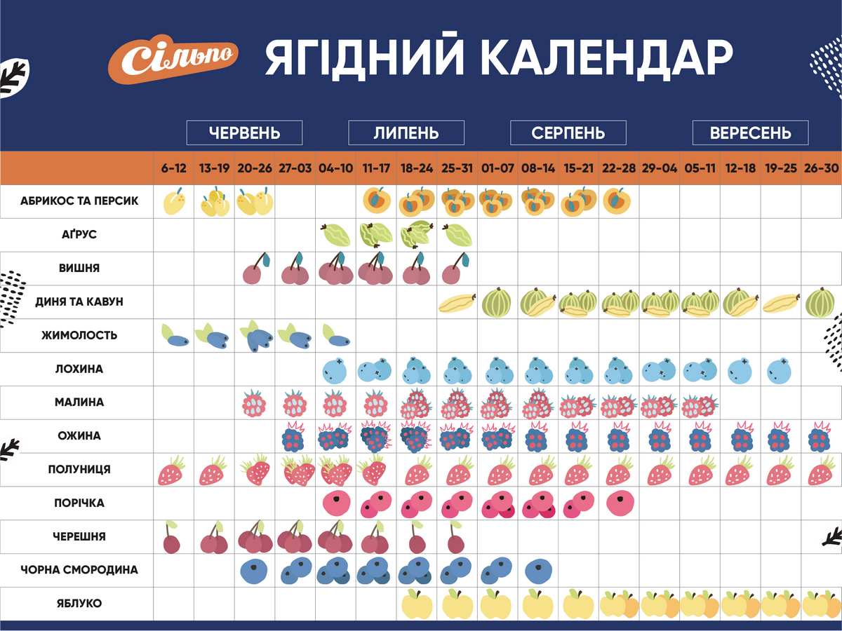 В Сільпо начинается фруктово-ягодный сезон: вот-вот будет много черешни