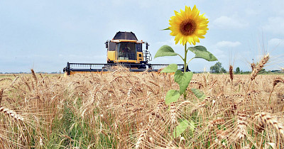 Гроші під урожай: Епіцентр узяв кредит у $120 млн на розвиток аграрного напрямку