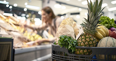 Прогнозування попиту на сезонні товари: як не упустити продажі та не залишитися з надлишками – Consulting for Retail