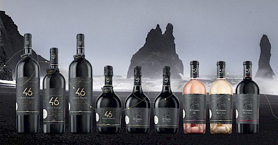 46 Parallel Wine Group – «Лучшая винодельческая компания из Украины 2021»