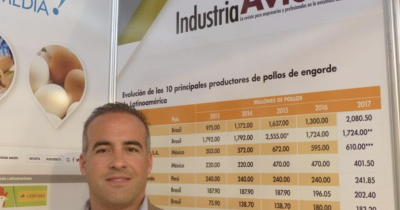 Три поради для виробників яєць