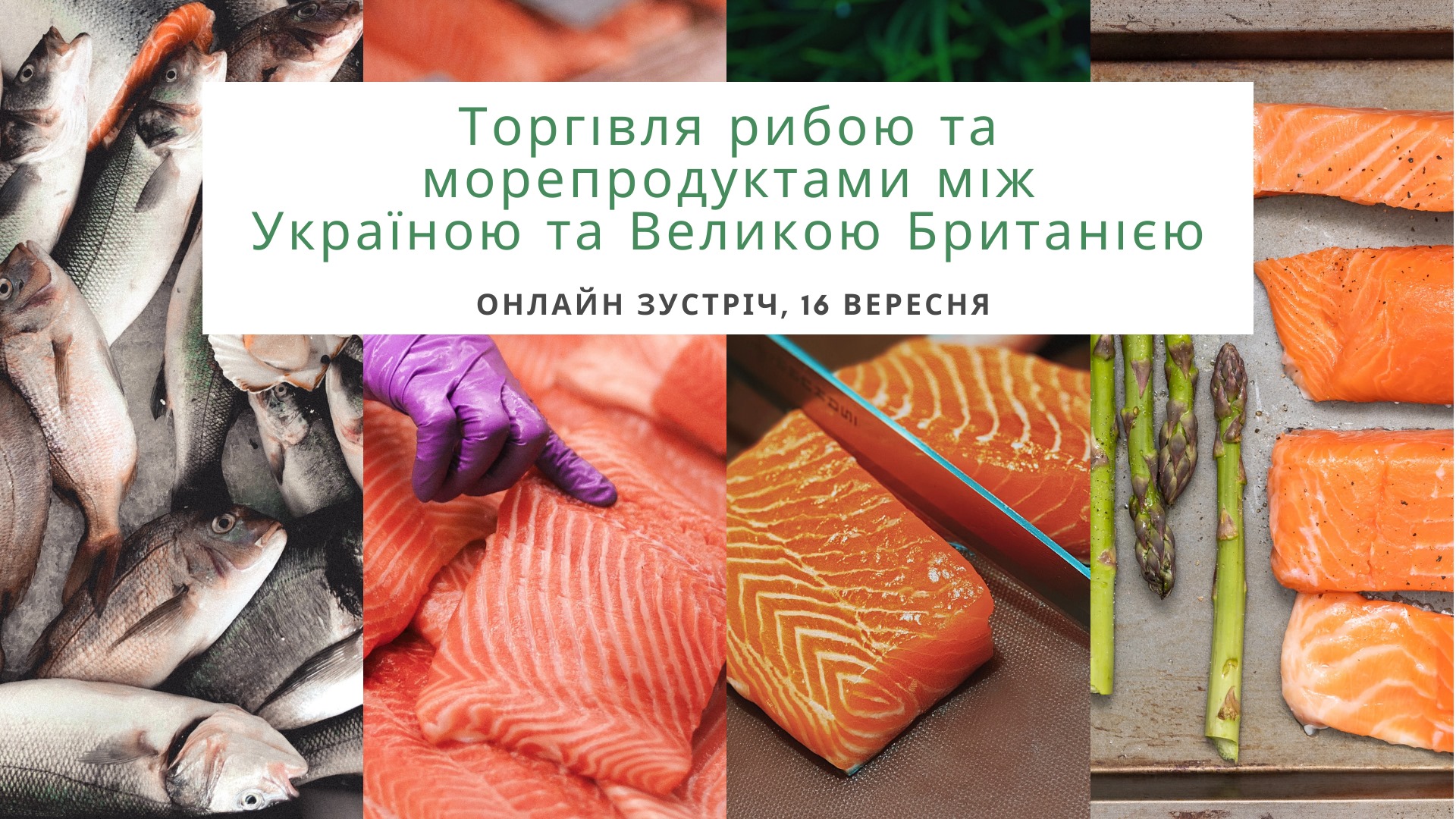 16 вересня онлайн-зустріч з кращими британськими виробниками риби та морепродуктів