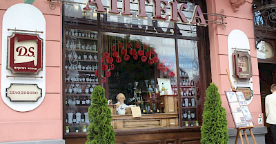 Социально ответственный бизнес: культурно-образовательные проекты сети аптек «D.S.»