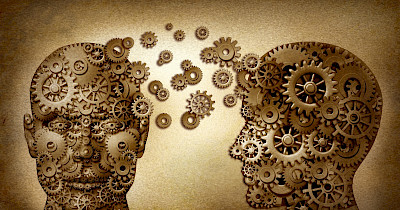 Як навчити персонал продавати – п’ять принципів організації навчання в компанії Comfy