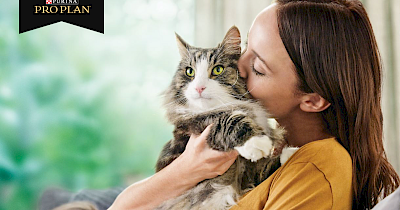 Nestlé Purina® представляє Pro Plan® LiveClear®, перший у світі корм, що зменшує рівень алергенів у котів