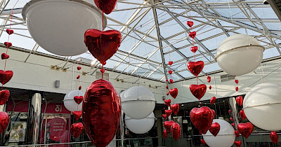 Оформление ТРЦ Оазис как элемент маркетинговой стратегии развития