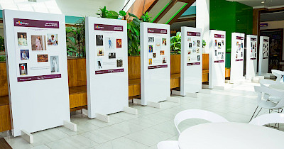 Як ТРК Проспект залучає рітейл-бренди у спільні комунікаційні ArtFashion проекти