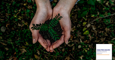 Корпоративна соціальна відповідальність: і людям, і бізнесу
