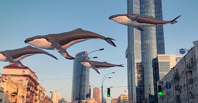 Реклама тижня: Нова пошта, Київстар, Volkswagen, ЛГБТ і кити в Києві