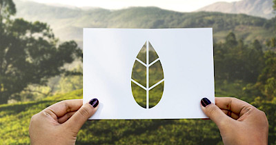 Экологическая революция в ритейле: Украина «за» или «против»?