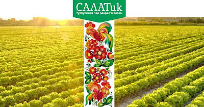 New Retail: От поставок оптом к собственной сети – история бренда Salatik Life