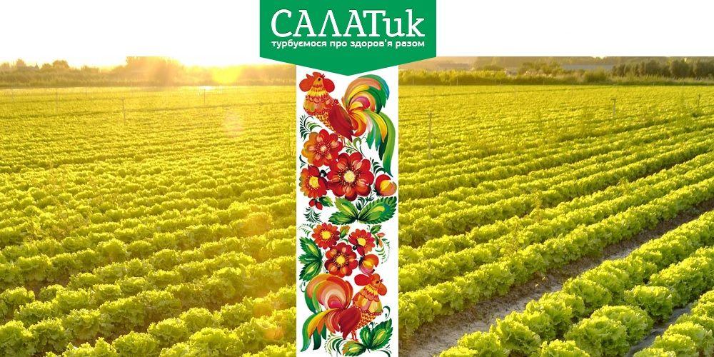 New Retail: От поставок оптом к собственной сети – история бренда Salatik Life