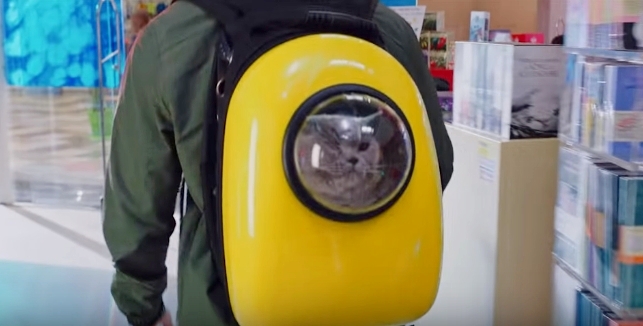 Реклама недели: COMFY, Alchemica, Prom.ua и пасхалки ПриватБанка