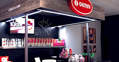 Ірина Тяжкороб, Gemini: Успіх бізнесу без ризику неможливий