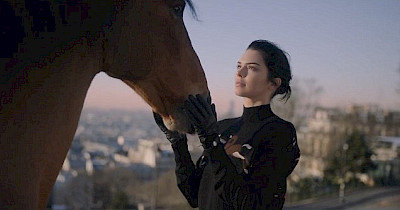 Реклама тижня: McDonald’s, Ельдорадо, Samsung, Чубакка і Кендалл Дженнер