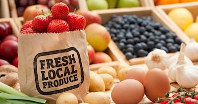 Чистая еда: как производители органических продуктов прорываются на полки магазинов