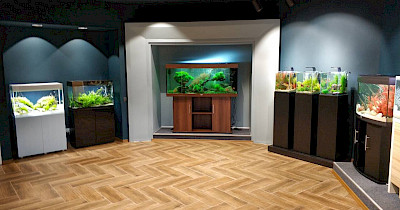 Мережа MasterZoo відкрила магазин нового формату в Києві (+фото)