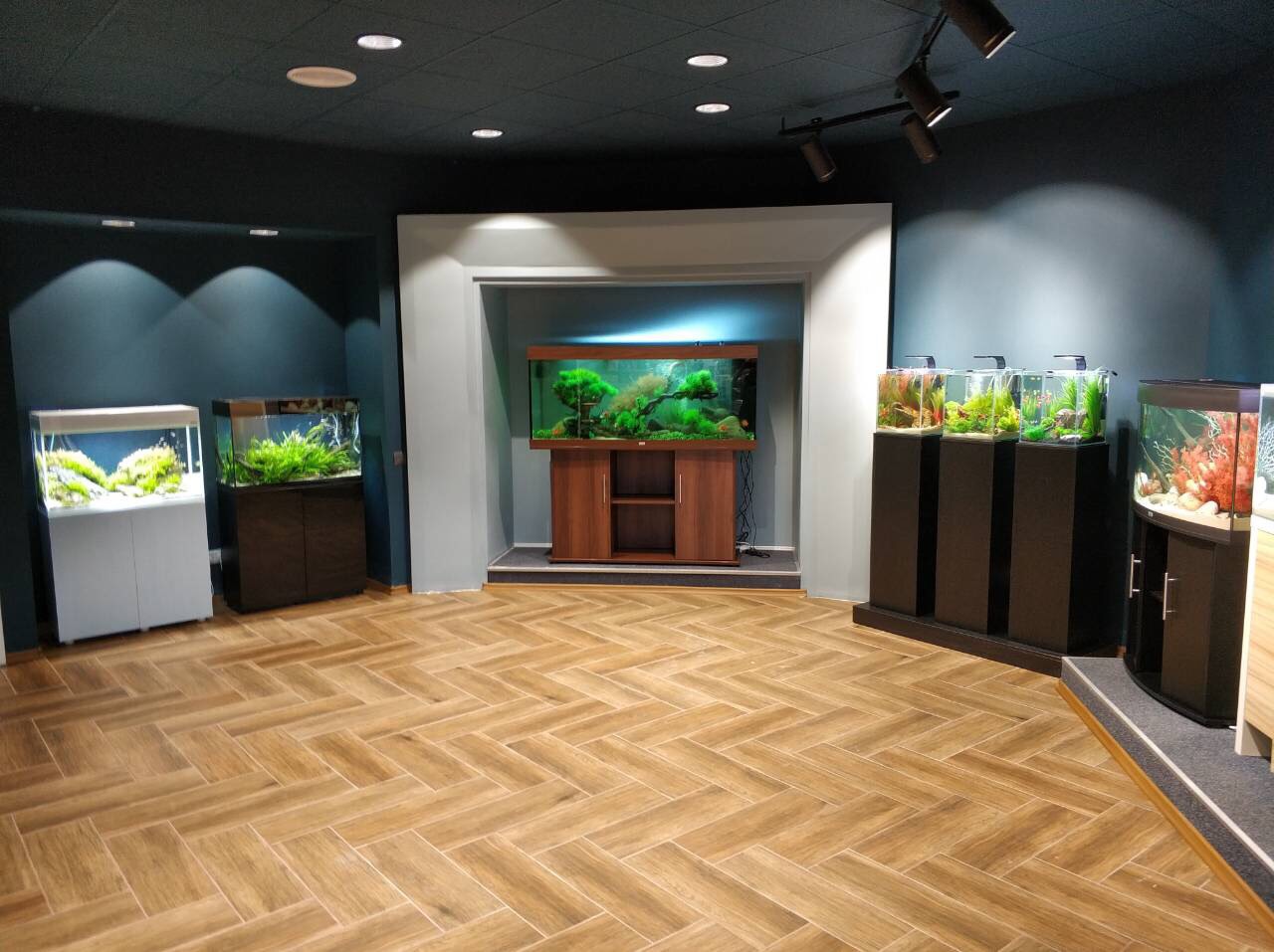 Мережа MasterZoo відкрила магазин нового формату в Києві (+фото)