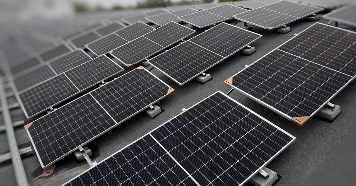 Енергія для бізнесу, світло для міст: мережа Аврора інвестувала 26 млн грн у сонячні станції