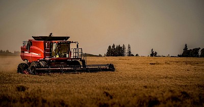 Економіка полів: оренда техніки як стратегія для агробізнесу