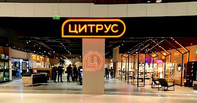 Смартфон замість офісу: 90% аудиторії Цитрус назвали його головним ґаджетом для роботи